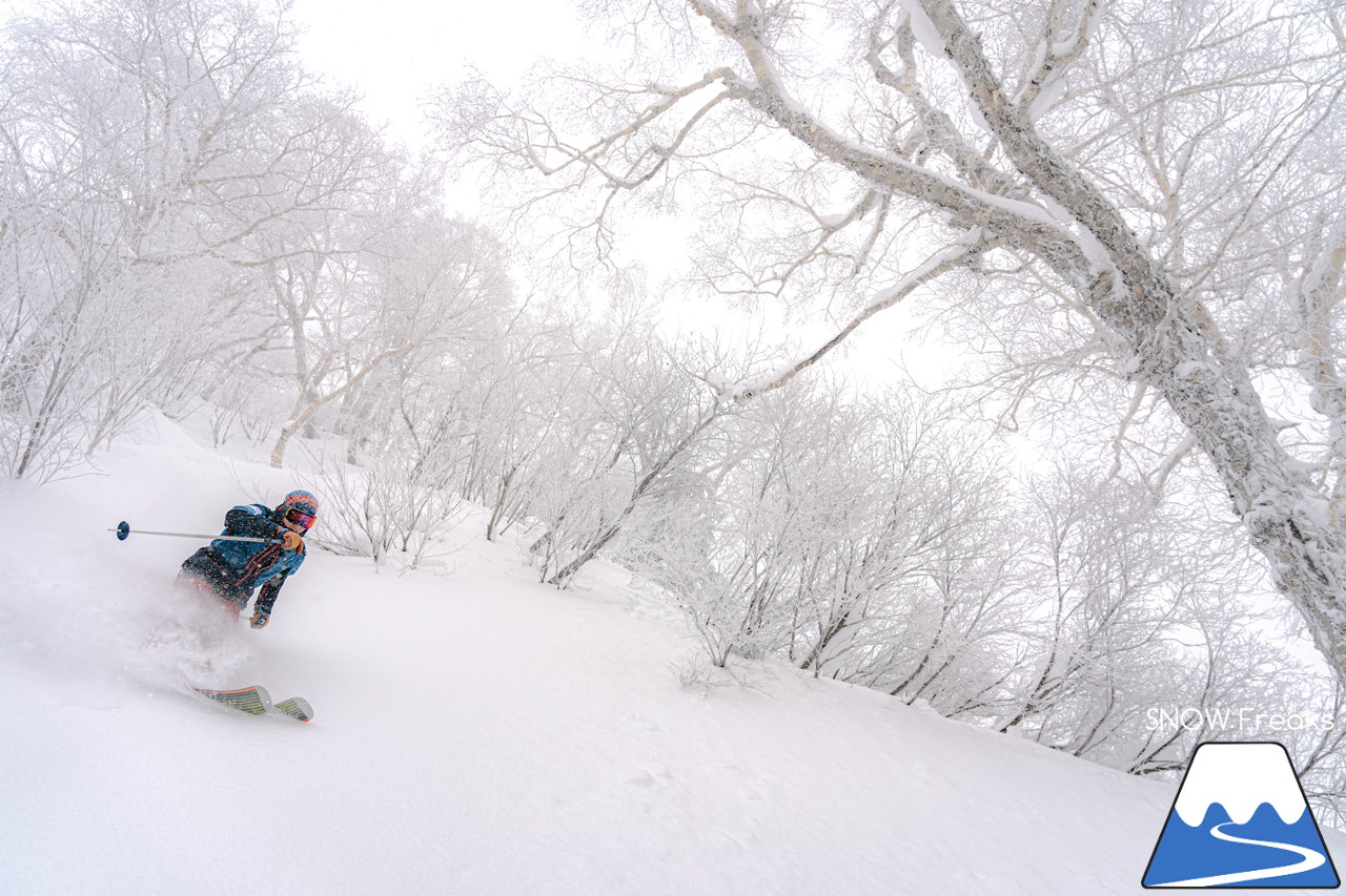 キロロリゾート｜降り出したら早いキロロ。積雪は、200cmに到達！X'mas＆年末年始に向けてコンディション急上昇(*^^)v